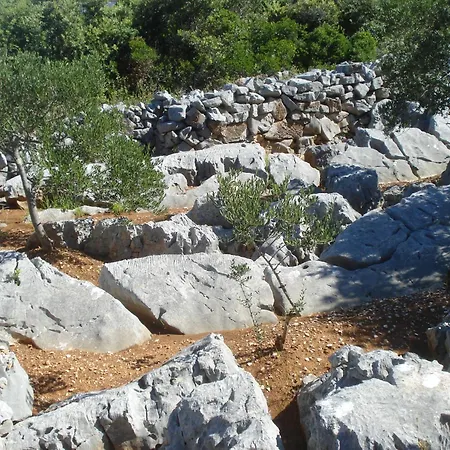 Apartman Iva * Vodice